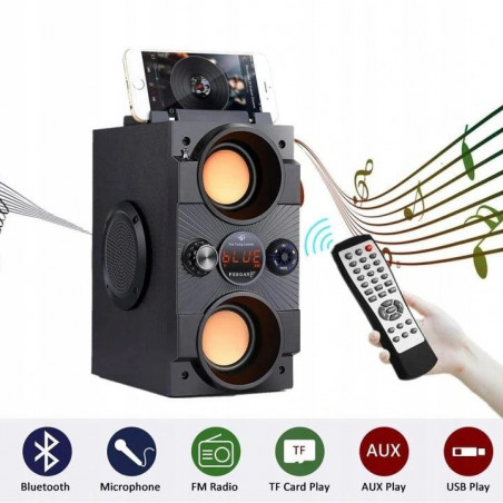 Feegar Dance Przenośny głośnik Bluetooth radio FM USB SD AUX