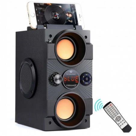 Feegar Dance Przenośny głośnik Bluetooth radio FM USB SD AUX